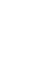 IES