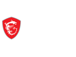 logo_msi